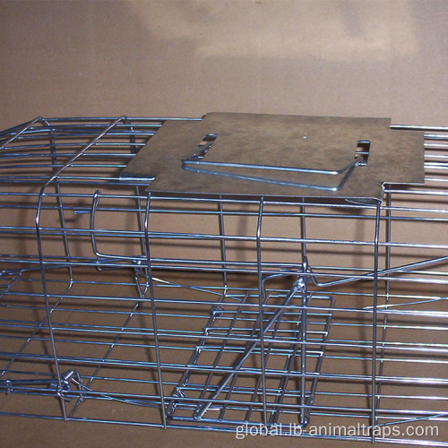 Live Coyote Cage Trap For Outdoors Collapsible Bird Cage Live Coyote Cage Trap Supplier